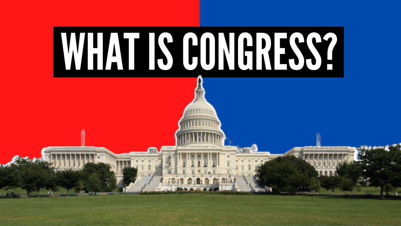 What Is Congress?
