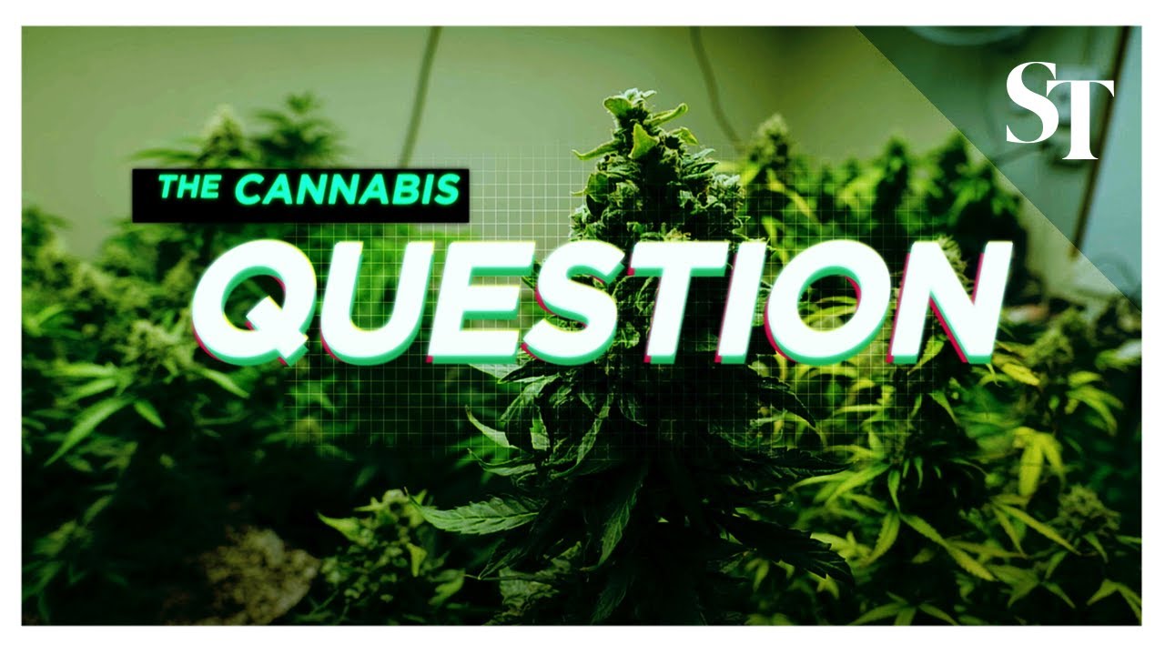 Drugs in Asia: Cannabis conundrum | The Straits Times