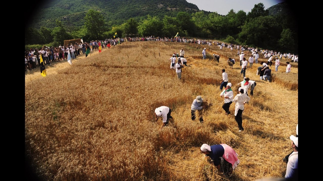 IL PALIO DEL GRANO, benvenuti a CASELLE IN PITTARI