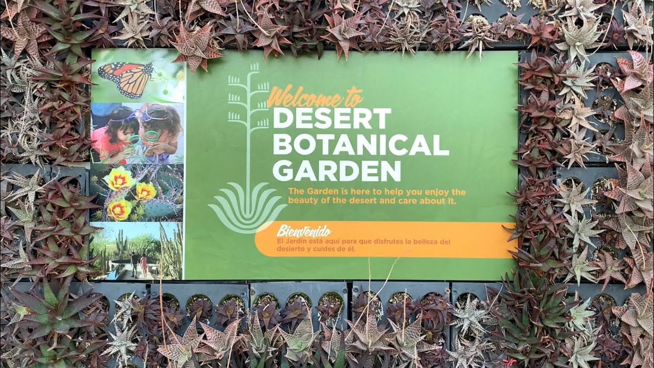 Desert Botanical Garden ( Phoenix, Arizona)