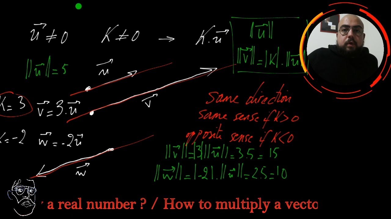 How to multiply a vector by a real number ? | Vectors | Pros-tutor