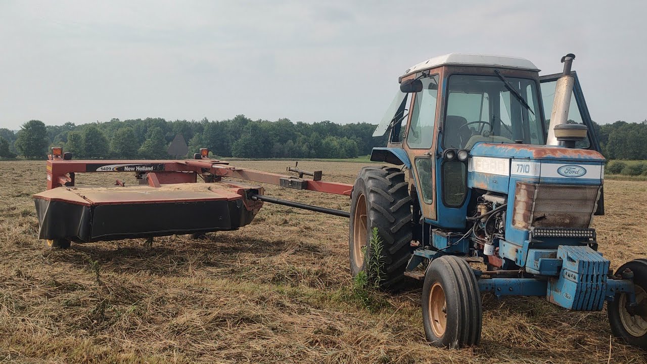 Mowing down the last of  hay that's too ripe and weedy and letting it lay. 