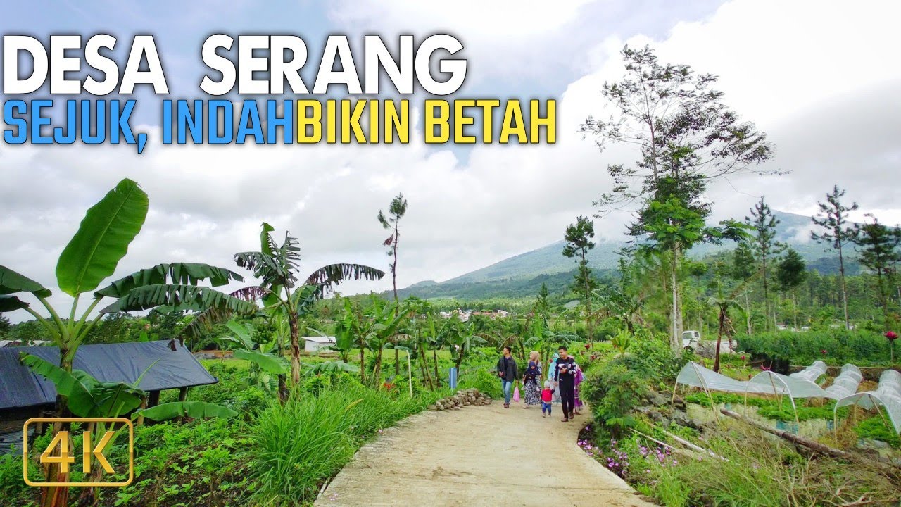 Suasana Pedesaan Yang Asri Desa Serang