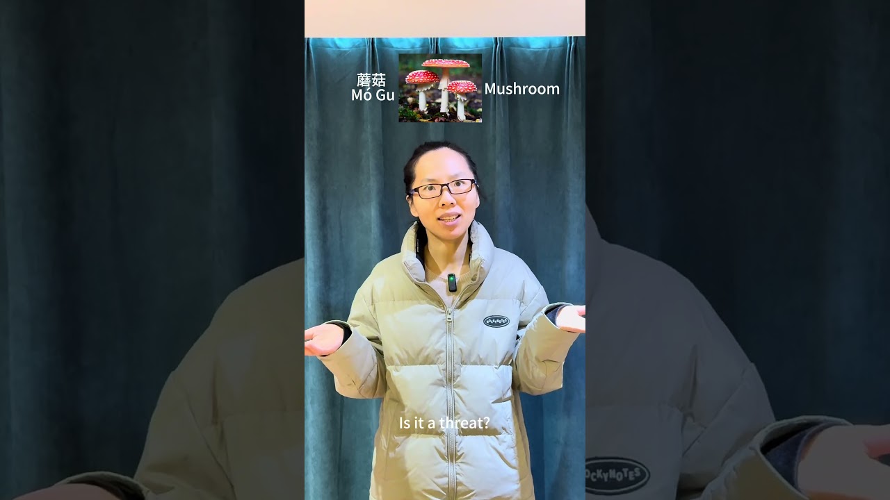 MandarinLearning: Speak Like a Native: Why 