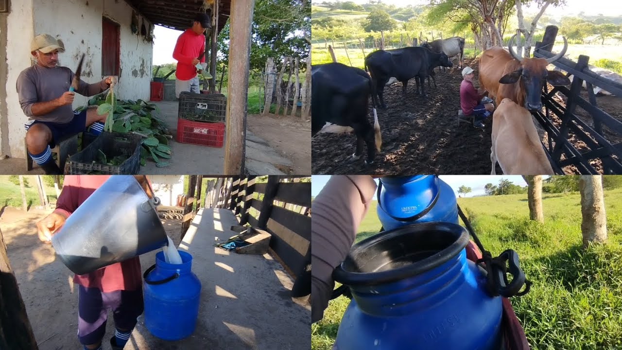 NOSSO SUSTENTO VEM DA TERRA.