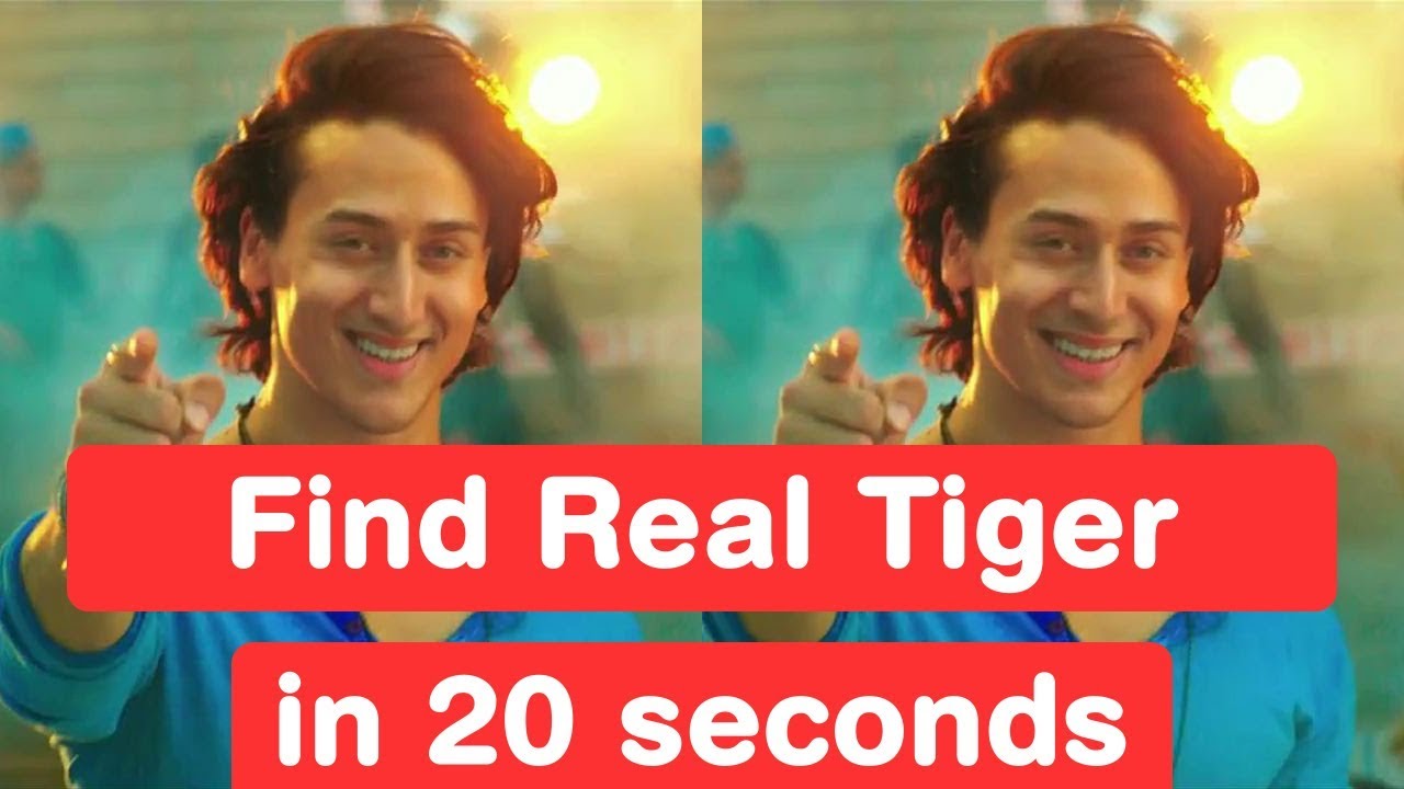 Find Real Tiger Shroff in 20 seconds - Baaghi 2 Challenge