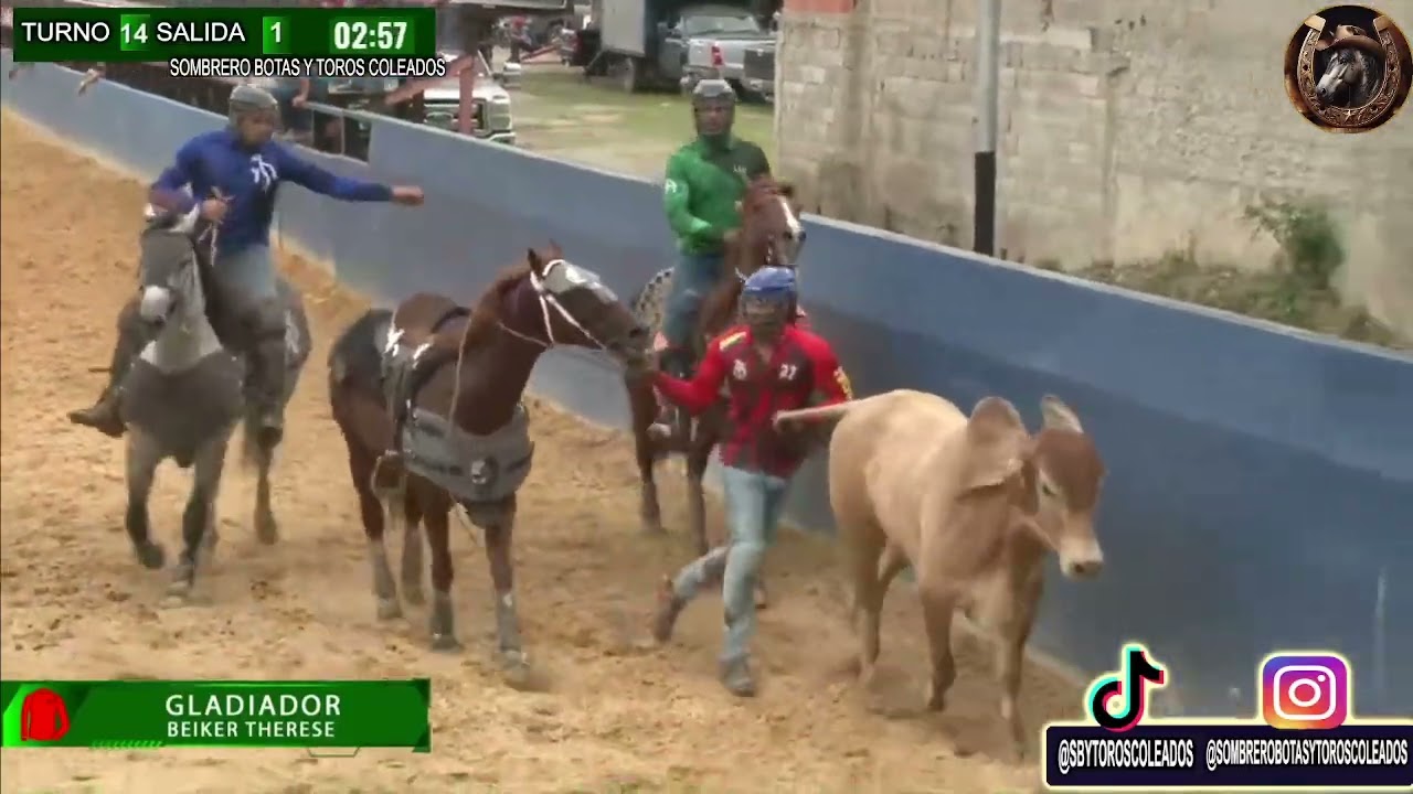 TURNO 14 SALIDA 1 FUTURITY DEL COLEO 25-1 R MUJICA - WILSON LLOVERA - BEIKER THERESE - D THERESE