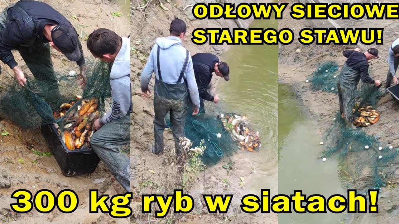 W STARYM STAWIE SIATAMI ŁAPIEMY RYBY  SPUSZCZAMY wodę