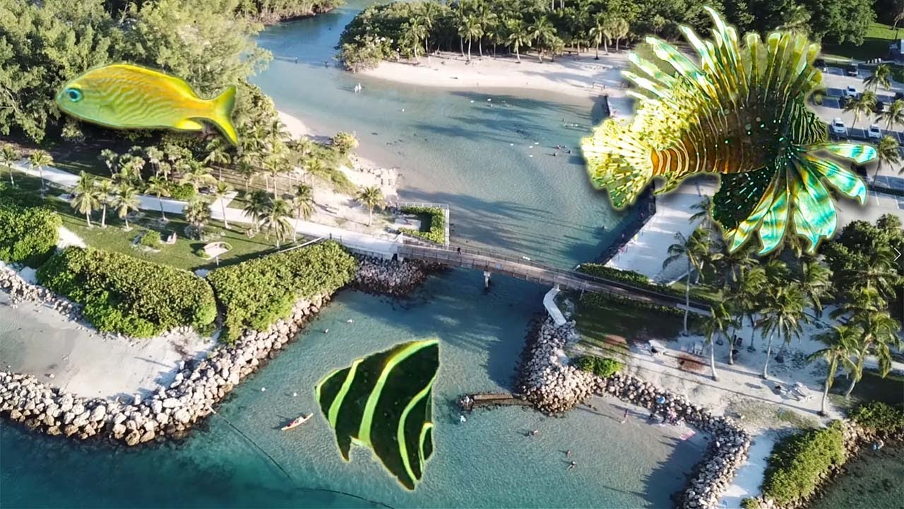 DuBois Park Snorkeling - Best Place to Snorkel in Jupiter for all Ages