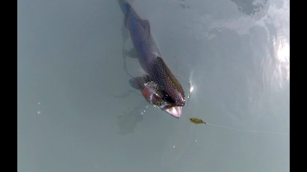 2014 Fliegenfischen an Pegnitz und Wiesent