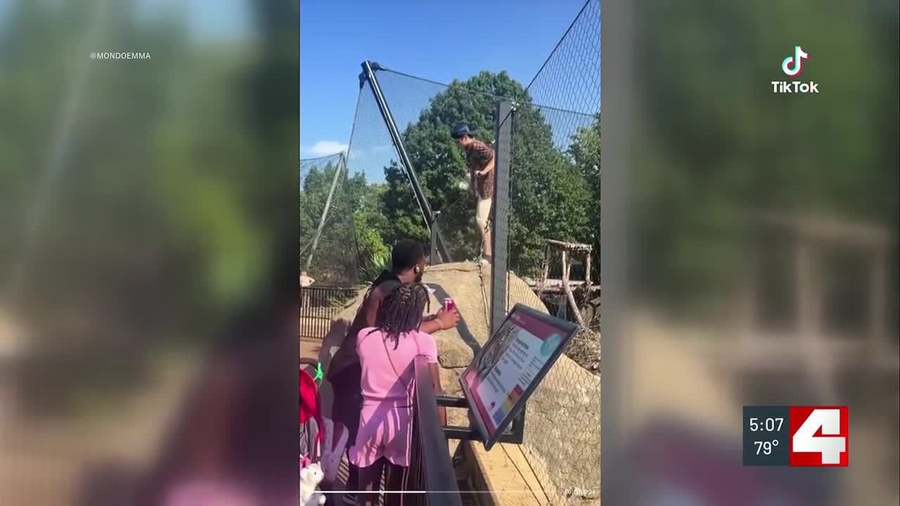 Saint Louis Zoo seeking charges against man who climbed fence into tiger enclosure