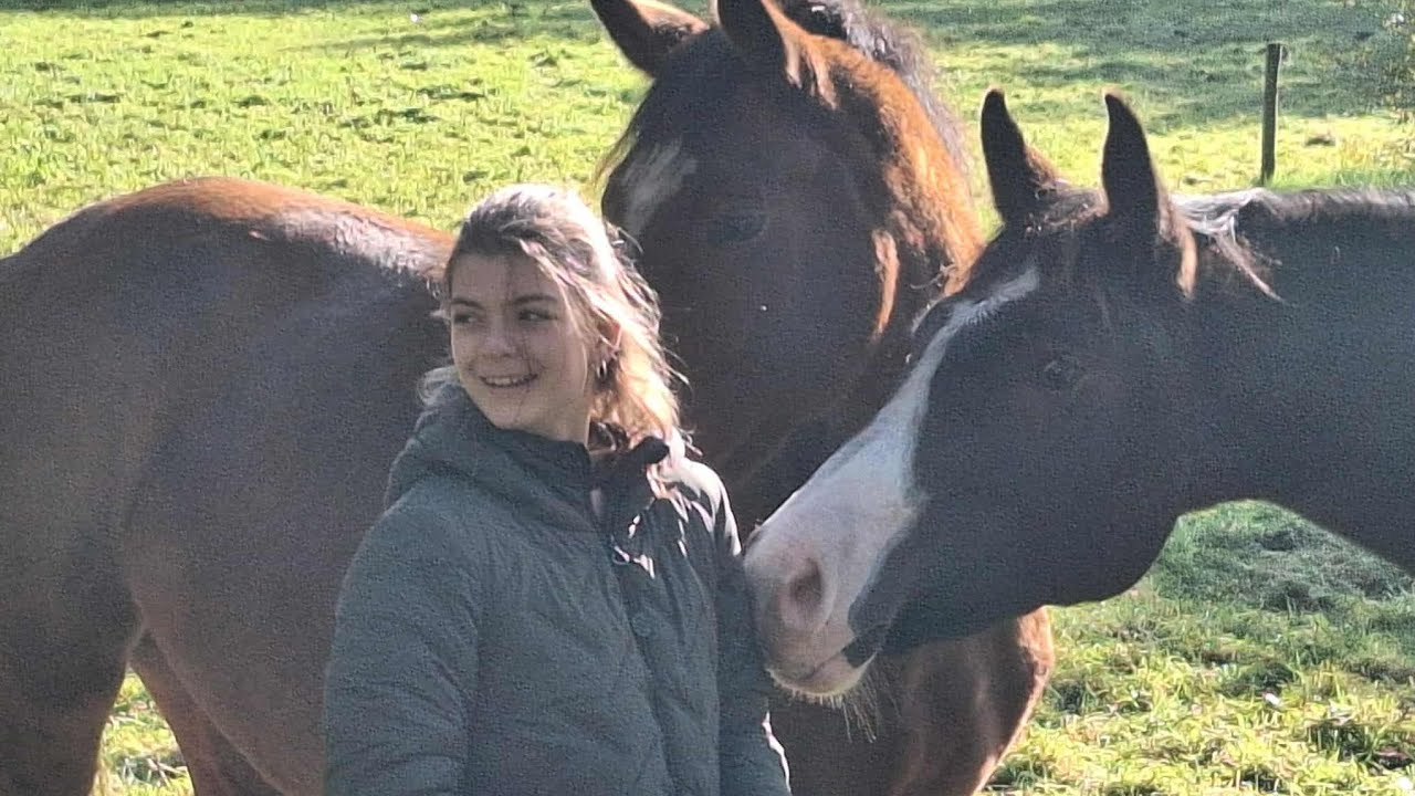 Speel ik weer star stable online😲en koop ik een paard