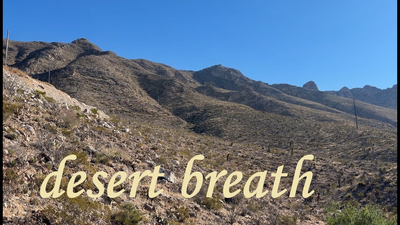 Finding peace and calm in the desert's silent walk
