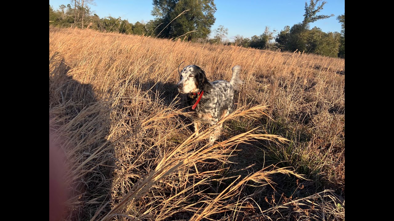 1 31 26 Late Cold PM Hunt