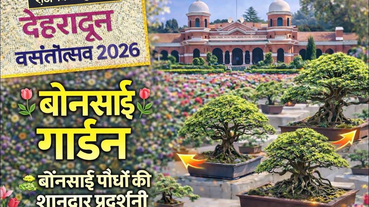 Vasantotsav Dehradun FullTour RajBhawan Bonsai Garden Music:Echoes Inthe WindMusician:VN VideoEditor