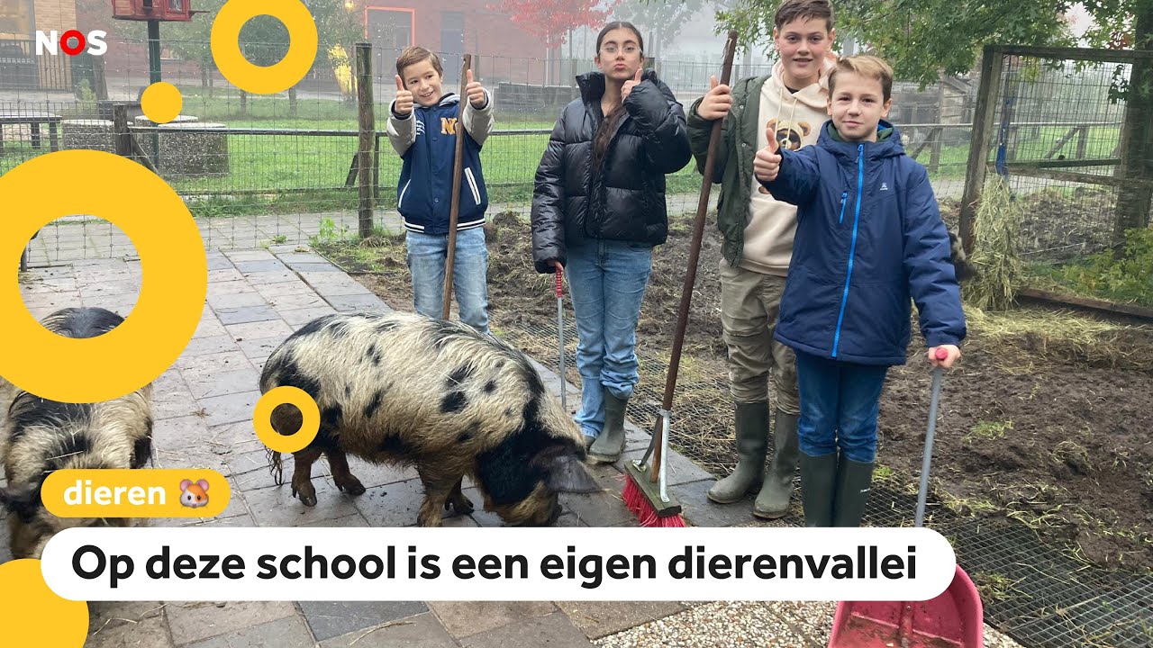 Deze school heeft een eigen kinderboerderij 🐖