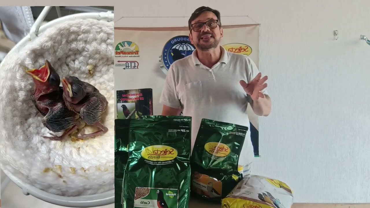 A melhor alimentação balanceada 