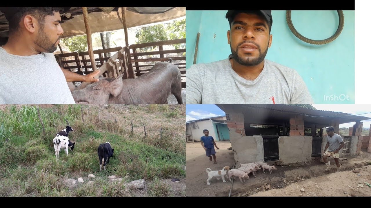 HOJE FOI DIA DE NOIS CUIDA DOS ANIMAIS BORA CUIDA MIGUEL 