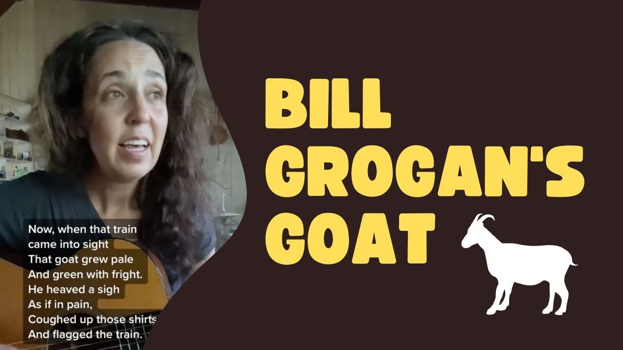 Bill Grogan's Goat