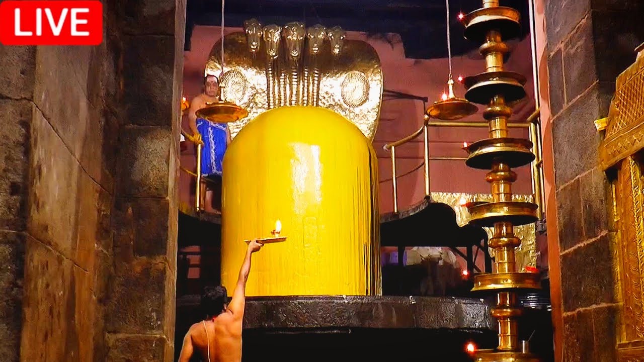 தீபாவளி Thanjavur Temple Sivan Abhishekam | தஞ்சை பெரிய கோவில் சிவன் அபிஷேகம் பாருங்க ! #thanjavur