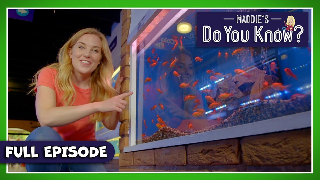 Fish Tanks & Bathes | Maddie's Do You Know👩Series 2, Episode 21 | FULL EPISODE!