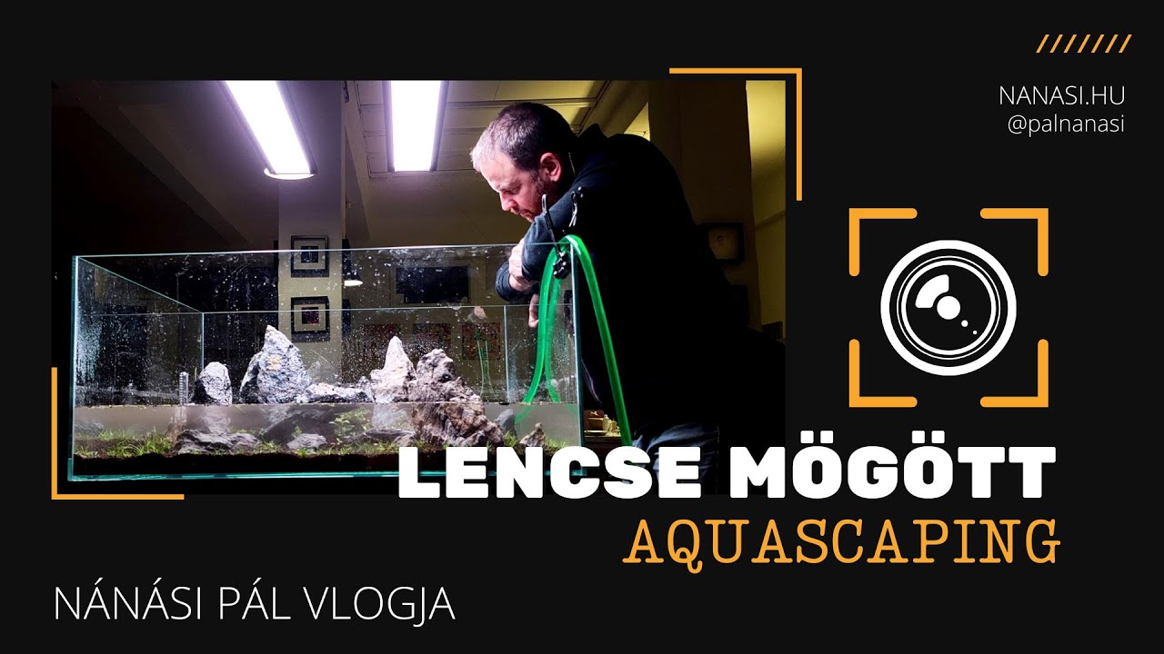 LENCSE MÖGÖTT - Aquascaping