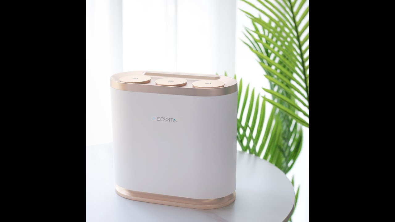 SCENTA A309 Brandnew Home Aroma Nebulizer Essential Oil Diffuser with Three Diffuser Head