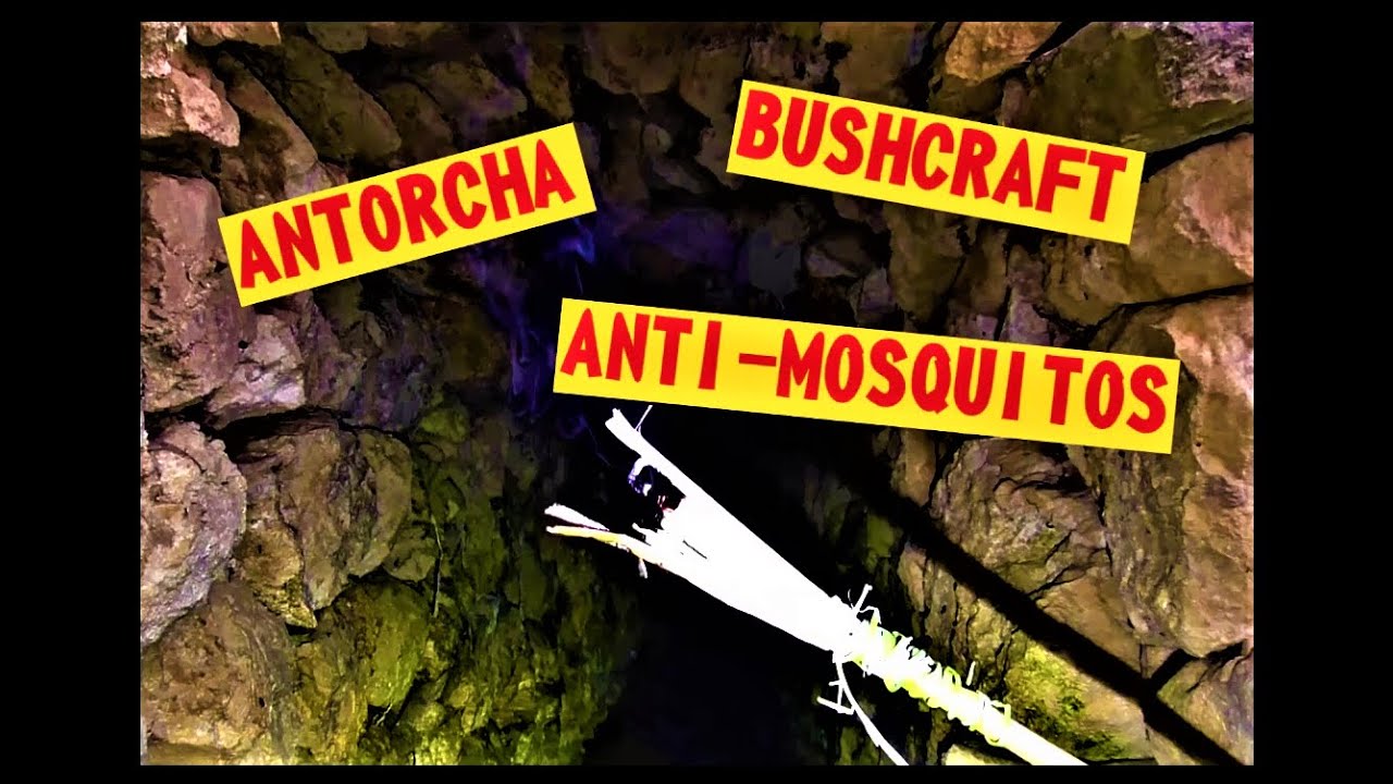 USOS de las PLANTAS:  AHUMERIO BUSHCRAFT ANTI.MOSQUITOS