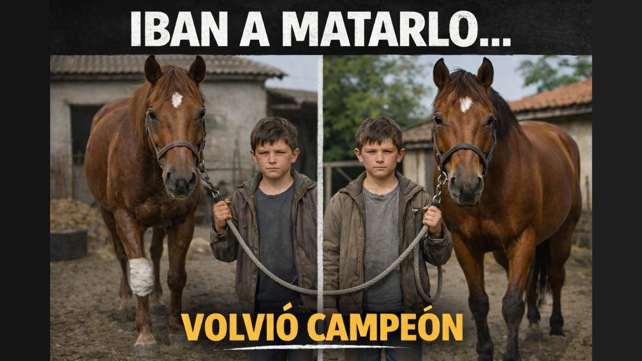 Iban a MATARLO… y volvió CAMPEÓN
