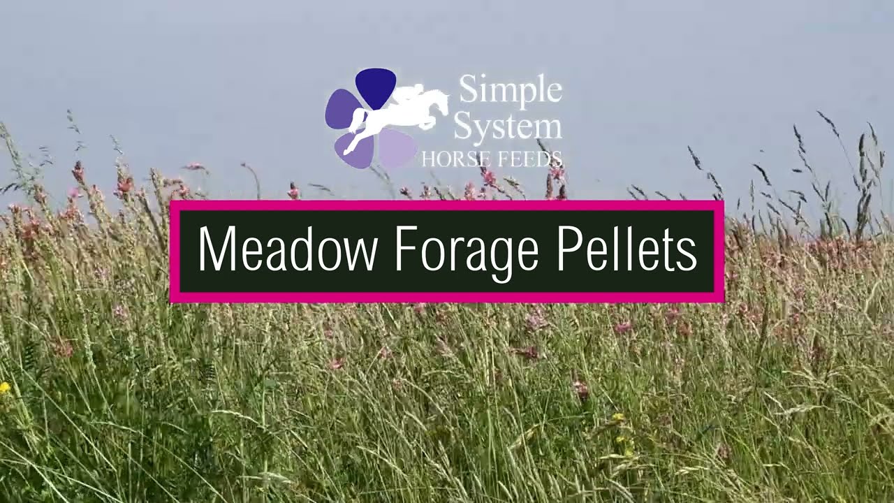 Meadow Forage Pellets - From Field to Feed...
