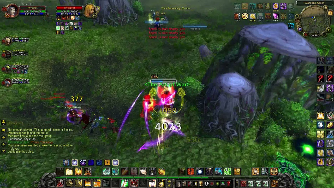 WOW 3.3.5 Paladin Retribution (Line BR)
