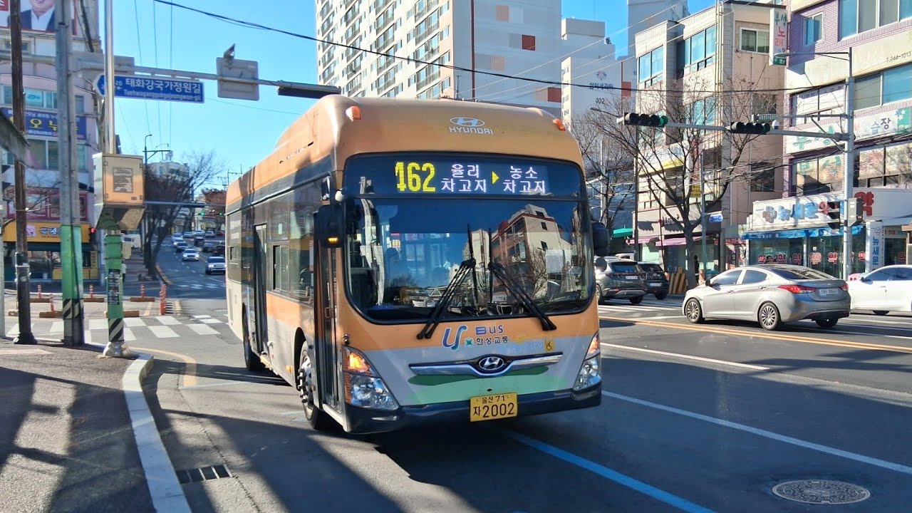 울산 462번 주행영상 『 철새홍보관 ~ 제일중학교앞 』