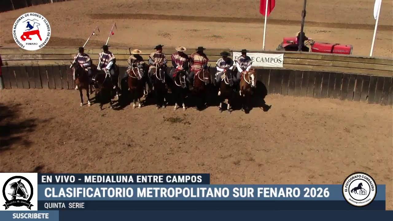 QUINTA SERIE - CLASIFICATORIO METROPOLITANO SUR FENARO 2026