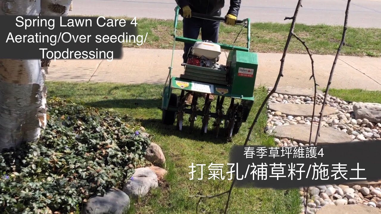 春季草坪维护4：打气孔、补草籽、上表土 Spring Lawn Care 4: Aerating, Overseeding, Topdressing
