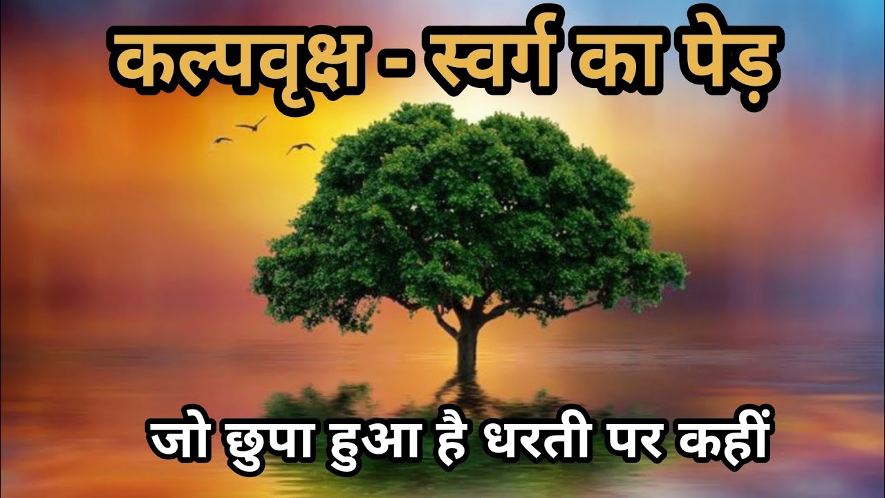 कल्पवृक्ष - स्वर्ग का वो पेड़ जो छुपा हुआ है धरती पर कहीं । करता है हर मनोकामनाएं पुरी ।