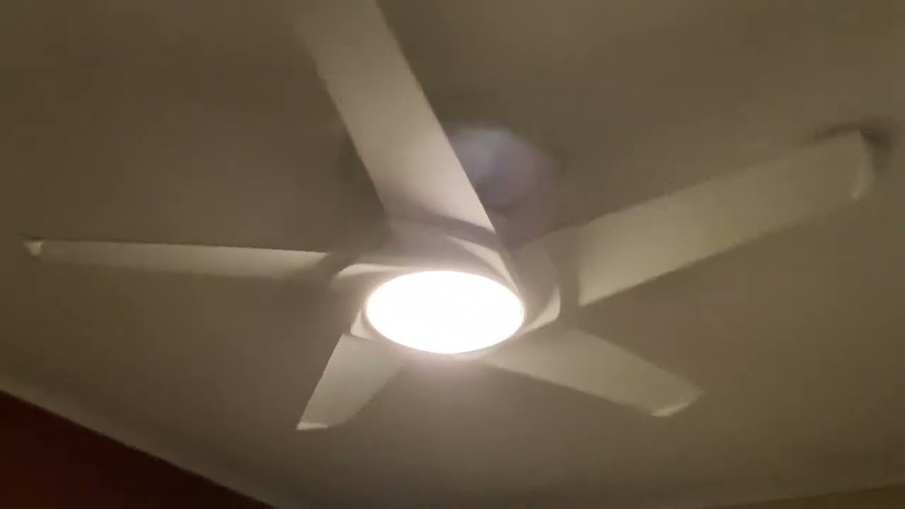 Fans at my grandparents house