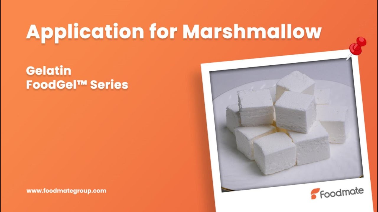 Elevate your marshmallow game with FoodGel™ Gelatin