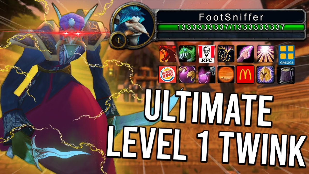The ULTIMATE Level 1 Twink vs Level 1 Raid