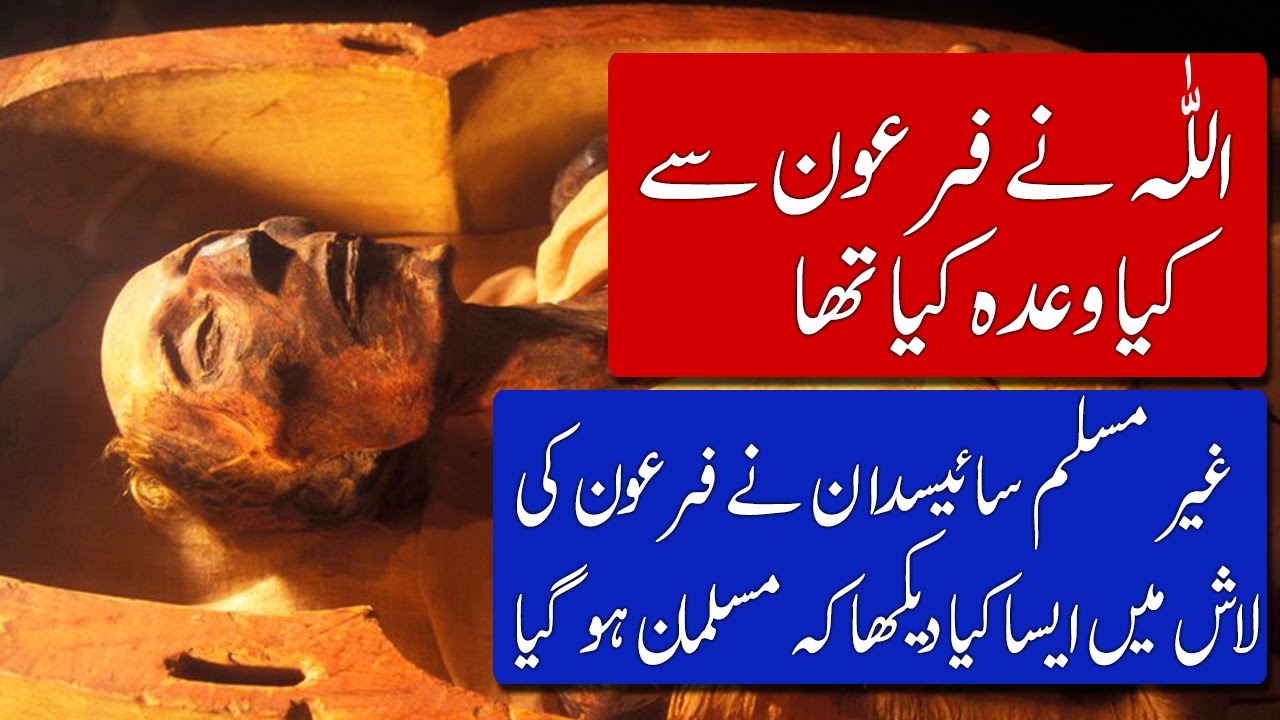 Histroy of Pharaoh (Firon) | Why Firon Mummy was Preserved | Firon ki Lash Kion Mehfooz ki Gae