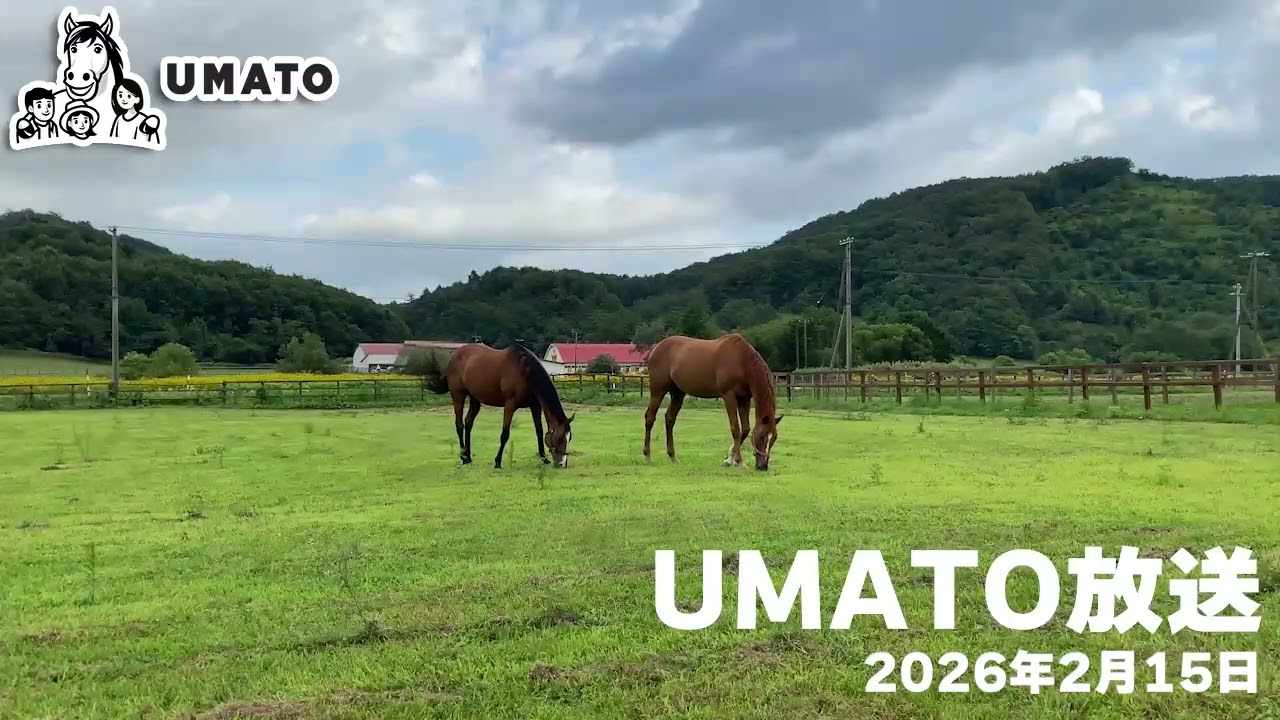 UMATO放送 2026年2月15日