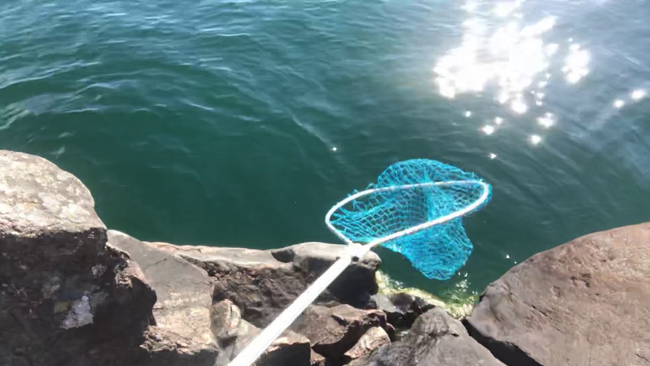 10:e juni Landfiske Vättern Röding Landfiske