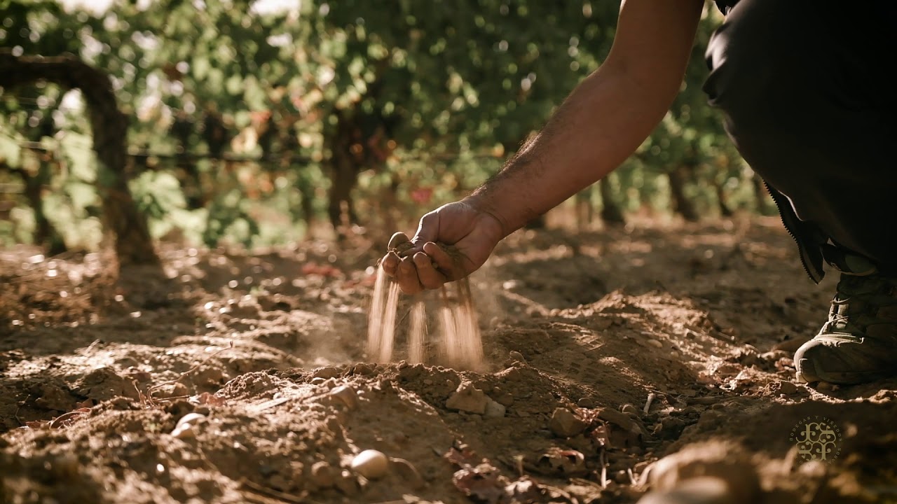 Descubre Bodegas Finca La Capilla