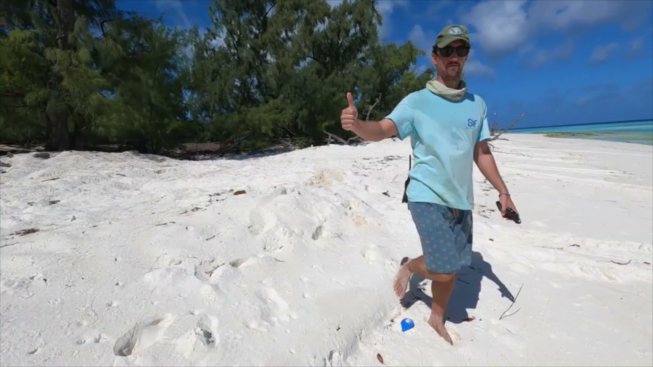 Recording Aldabra&rsquo;s incredible green turtle recovery