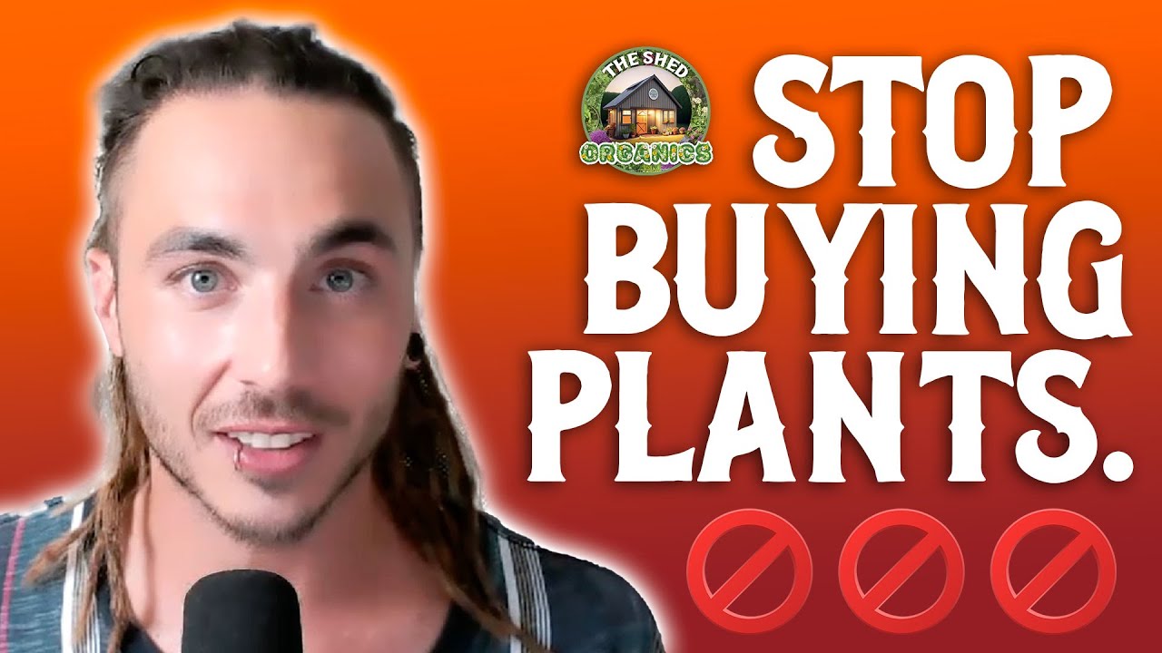 Why BUYING plants is a MISTAKE!