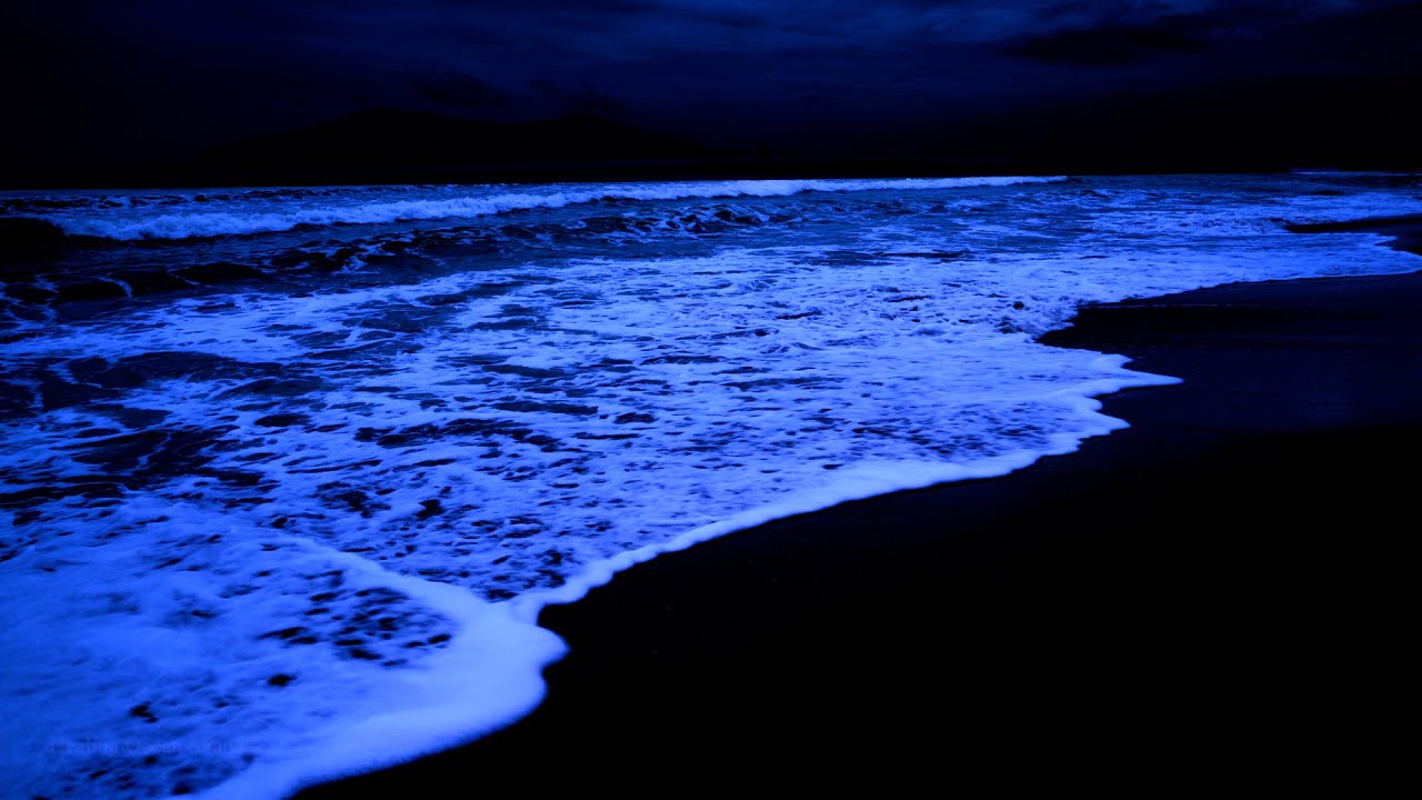 Counting Waves for Sweet Dreams 🌙 Relaxing Ocean Sounds at Night | Fall Asleep Fast