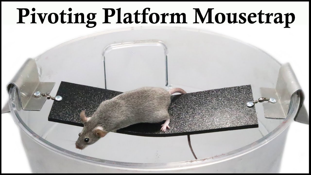 The Pivoting Platform Bucket Mousetrap Patented in 1987. Mousetrap Monday.