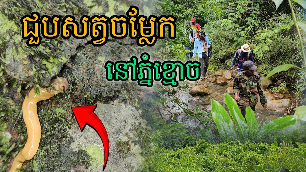 ជួបសត្វចម្លែកនៅភ្នំខ្មោច