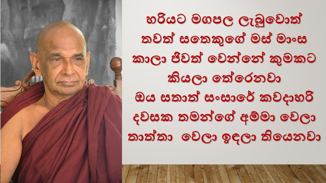 හරියට මගපල ලැබුවොත් තවත් සතෙකුගේ මස් මාංස කාලා ජිවත් වෙන්නේ කුමකට කියලා තේරෙනවා