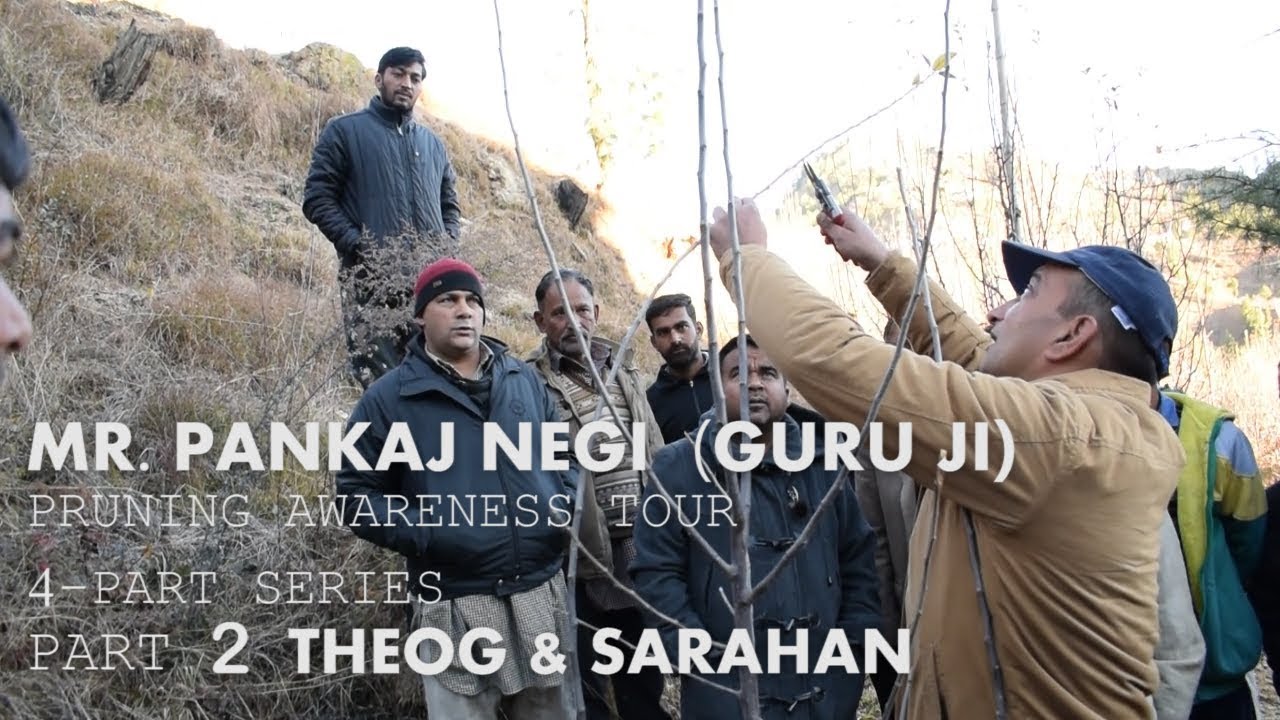 MR. PANKAJ NEGI JI PRUNING AWARENESS TOUR PART-2 | THEOG & SARHAN