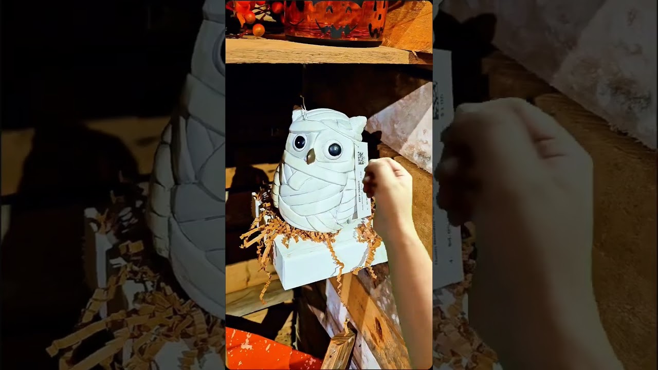My Owlets followed me to market #diy #wreath #owl #decor #crafty